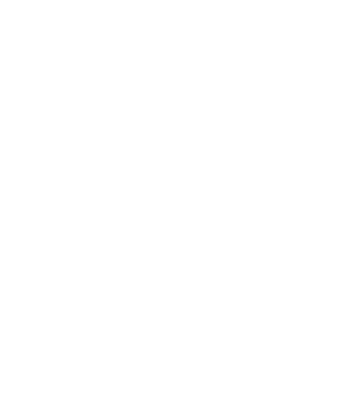 MVM export plan